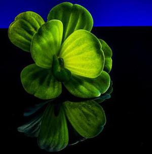 第十一章公主寻人！