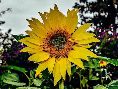 app彩神网安卓版引导