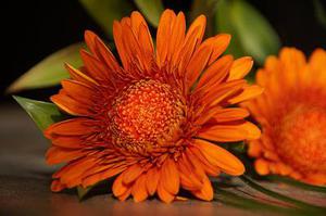 显现的一抹亮色